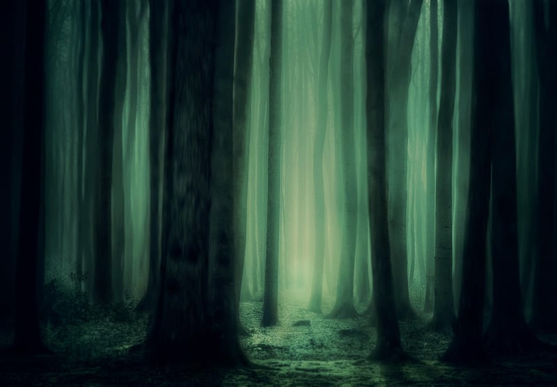 Mysterious Forests